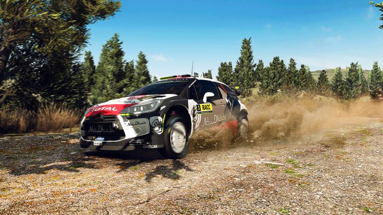 WRC Bundle Steam CD Key