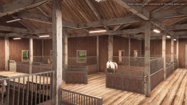 My Horse: Bonded Spirits PC Steam CD Key