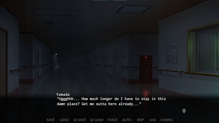 Nope Nope Nope Nurses PC Steam Account