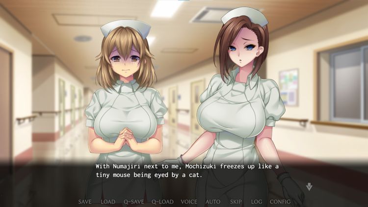 Nope Nope Nope Nurses PC Steam Account
