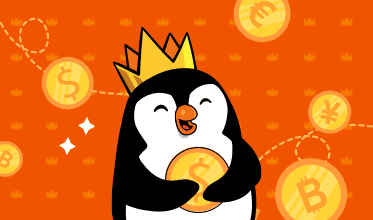 Step 3: Payment & Connect