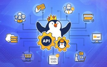 How does Kinguin API work?