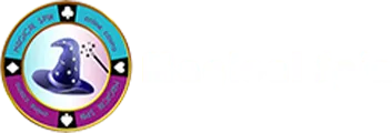 Logo du casino Magical Spin
