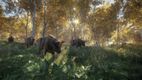 theHunter: Call of the Wild - Hunting Starter Pack Bundle gameplay screenshot 5