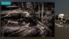Halloween Puzzles PC Steam CD Key screenshot 6
