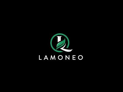 Lamoneo Steam CD Key