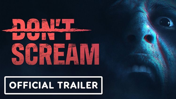 DON'T SCREAM PC Steam Account