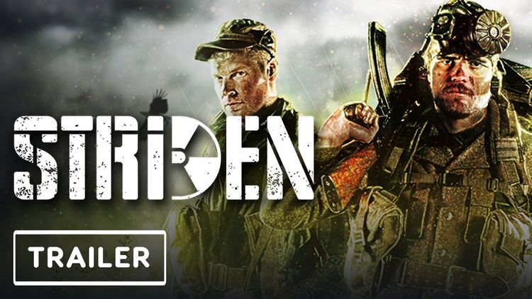 Striden PC Steam CD Key