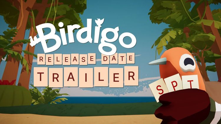 Birdigo PC Steam CD Key