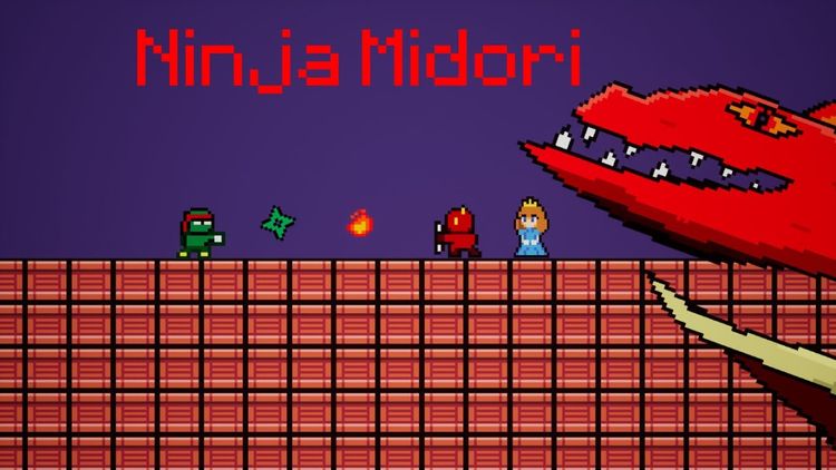 Ninja Midori Steam CD Key