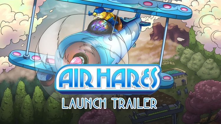 Air Hares PC Steam CD Key