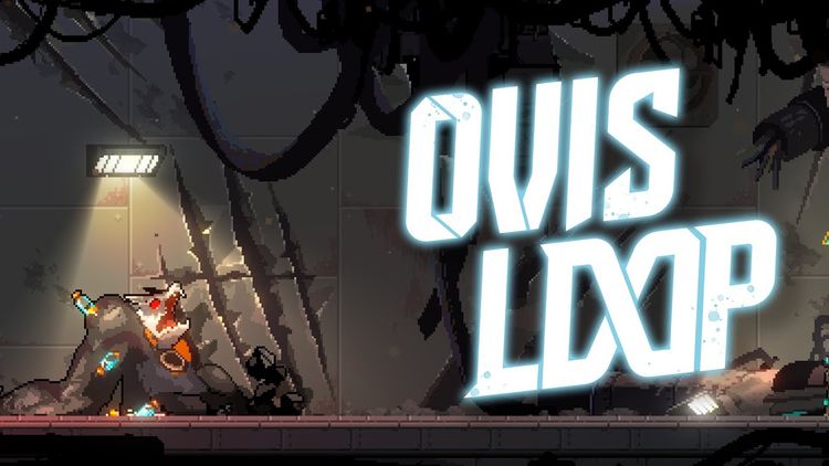 OVIS LOOP PC Steam CD Key