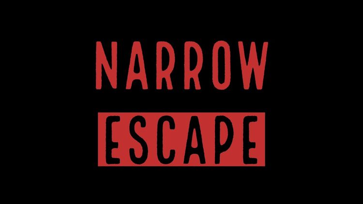 Narrow Escape Steam CD Key