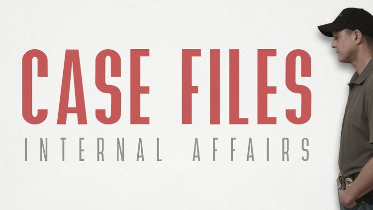 Case Files: Internal Affairs PC Steam CD Key