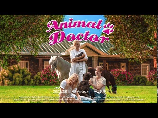 Animal Doctor PC Steam CD Key