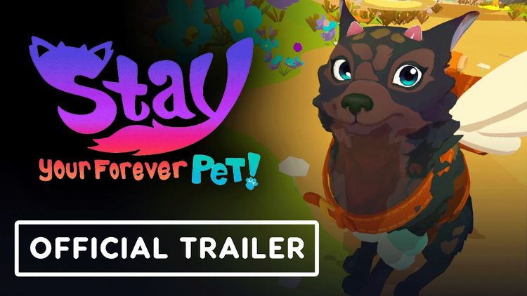 Stay: Your Forever Pet! PC Steam CD Key
