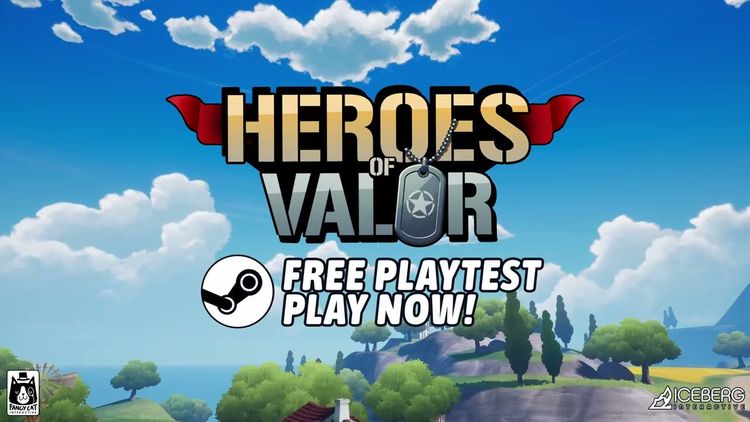 Heroes of Valor PC Steam CD Key