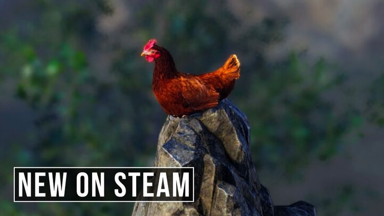Unlucky Chicken PC Steam CD Key