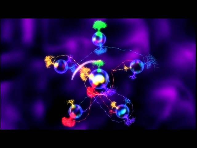 R.O.O.T.S Steam CD Key