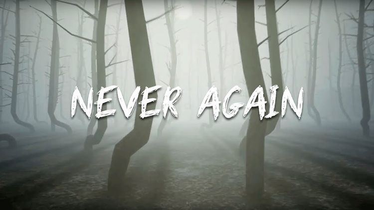 Never Again Steam CD Key