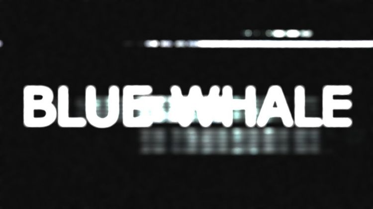 Blue Whale Steam CD Key
