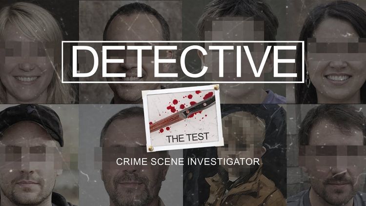 Detective - The Test PC Steam CD Key 