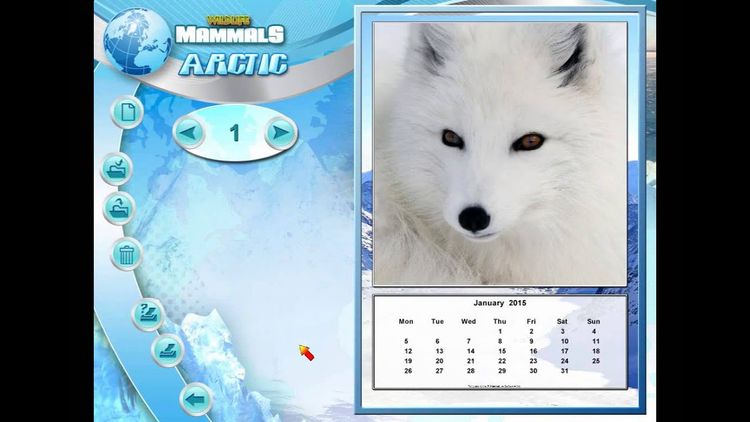 Wildlife Creative Studio PC Steam CD Key