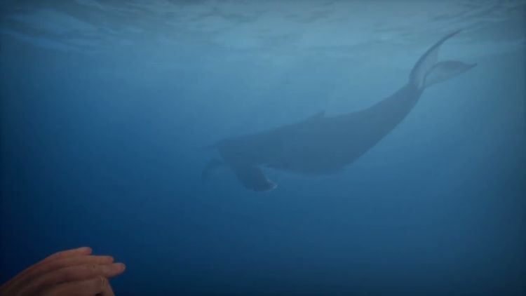 Away From Life PC Steam CD Key