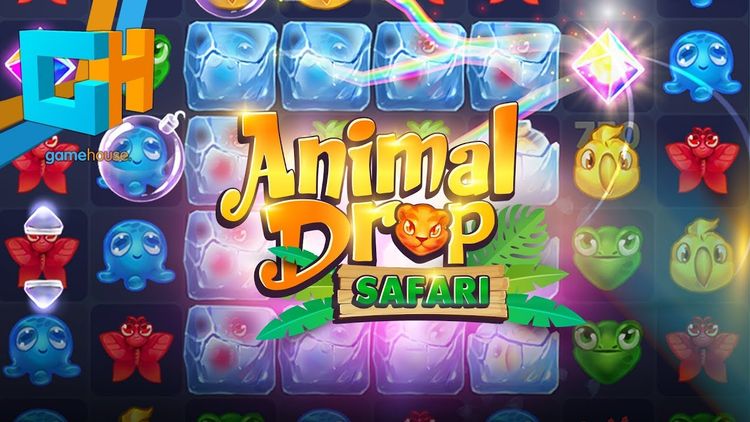 Animal Drop Safari Steam CD Key