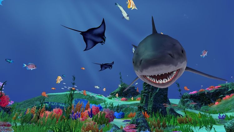 Fancy Fishing VR PC Steam CD Key