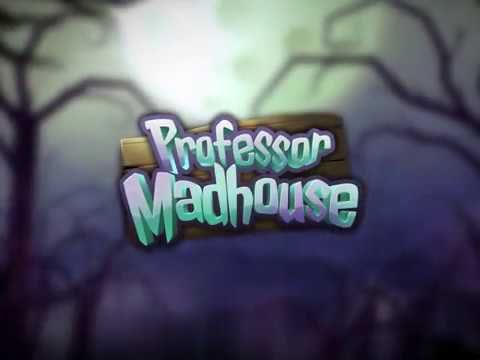 Professor Madhouse Steam CD Key