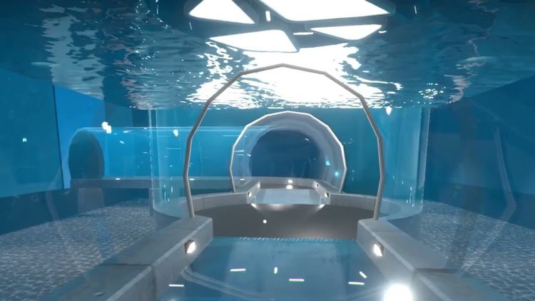 Aquarist PC Steam CD Key