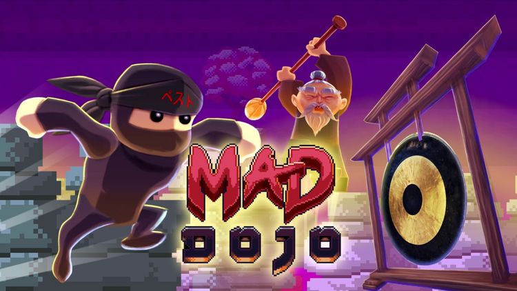 Mad Dojo Steam CD Key