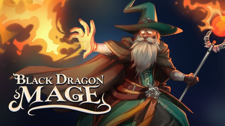 Black Dragon Mage PC Steam CD Key