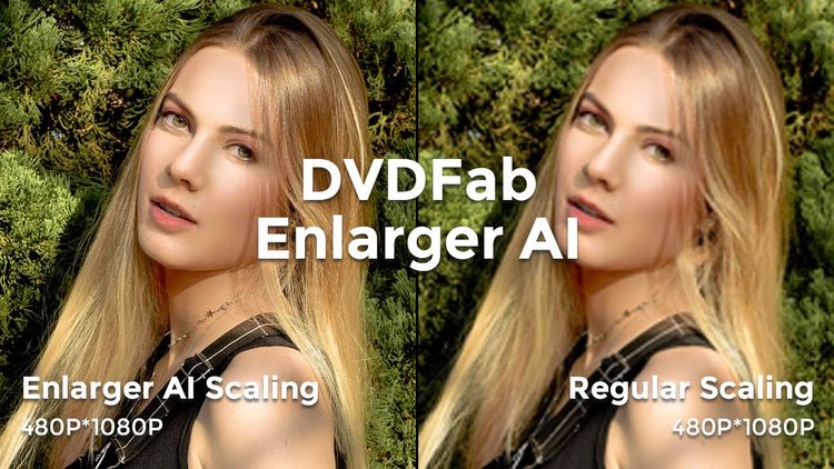 DVDFab Enlarger AI Key (1 Year / 1 PC)