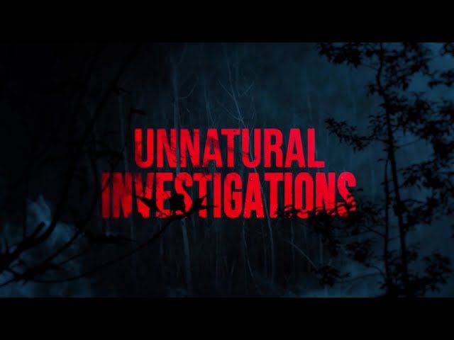 Unnatural Investigations Steam CD Key