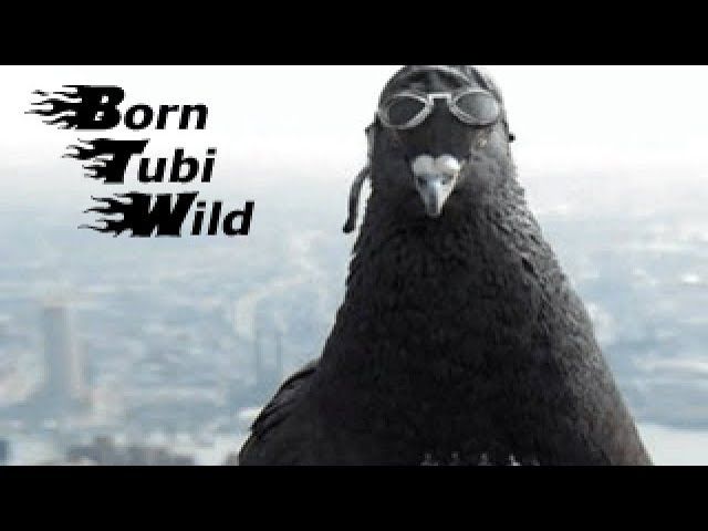 Born Tubi Wild Steam CD Key