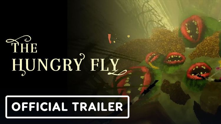 The Hungry Fly PC Steam CD Key