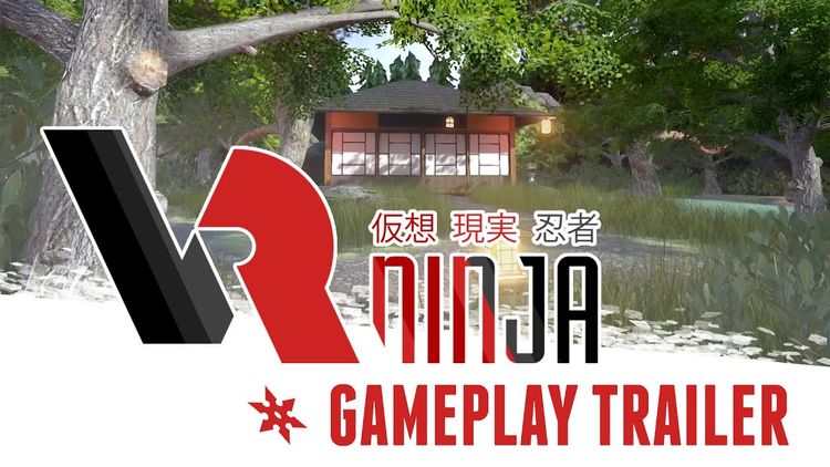 VRNinja Steam CD Key