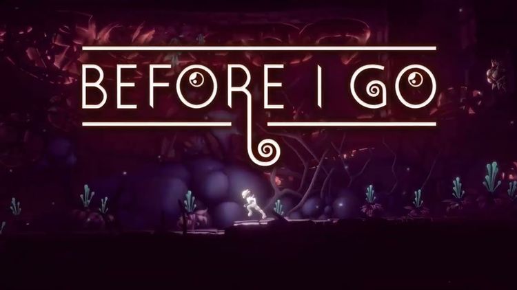 Before I Go PC Steam CD Key