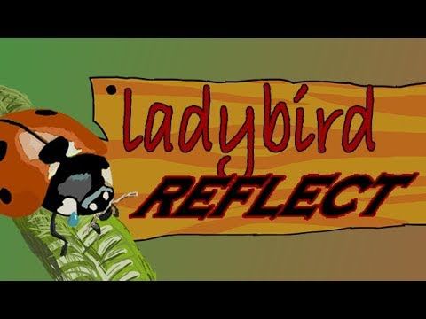 Ladybird Reflect English Language only Steam CD Key
