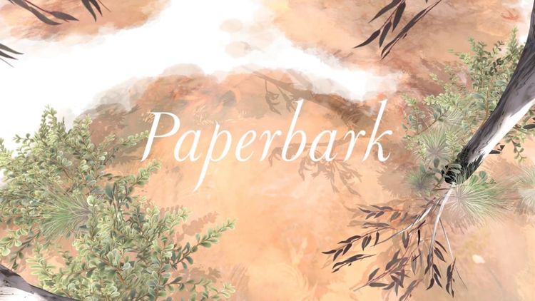 Paperbark Steam CD Key