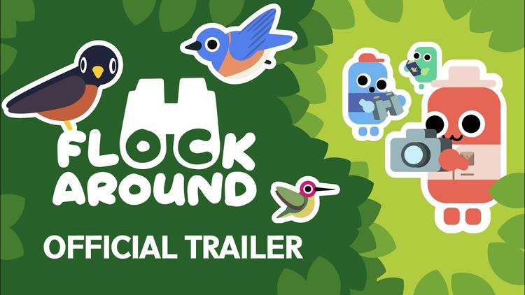 Flock Around PC Steam CD Key