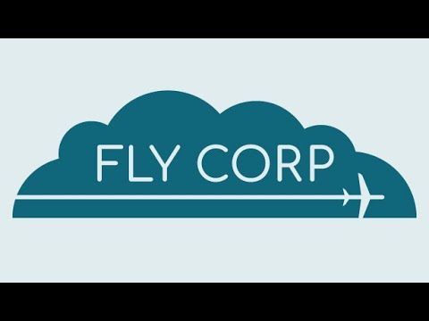 Fly Corp PC Steam CD Key