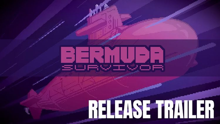 Bermuda Survivor PC Steam CD Key