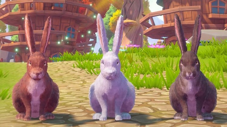 Adventure Forest: Rabbit Story PC Steam CD Key