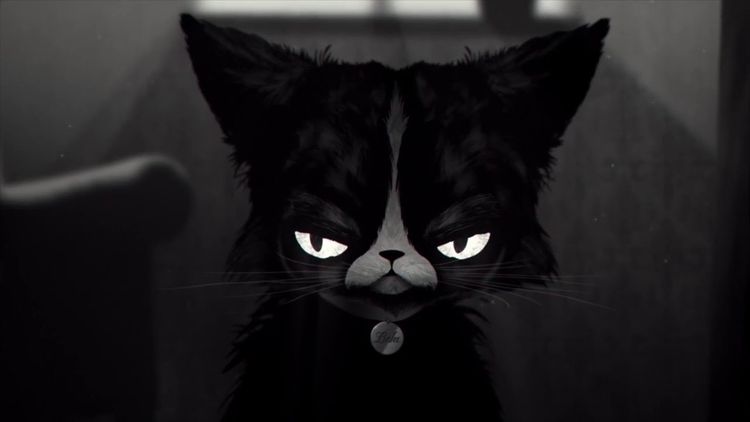 She Wants Me Dead Steam CD Key