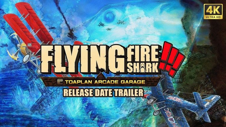 Toaplan Arcade Garage: Flying Fire Shark EU Nintendo Switch CD Key