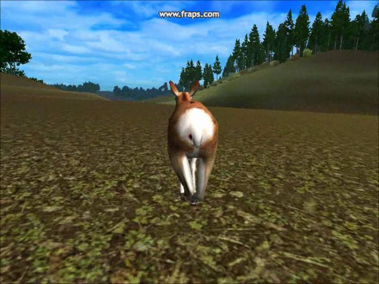 Hunting Unlimited 2010 Steam CD Key