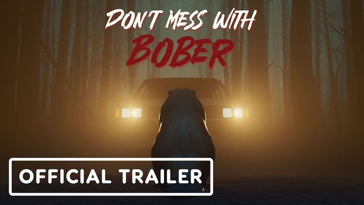 Don't Mess With Bober EU PS5 CD Key